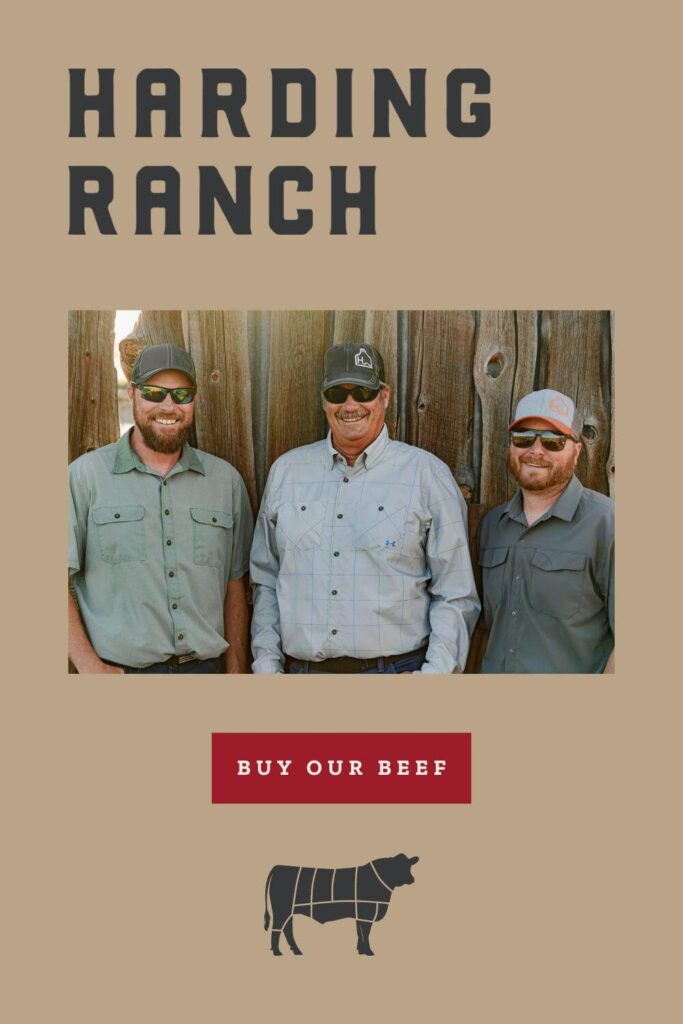 wordmark for harding ranch with image of father and 3 sons and button that says 'buy our beef'